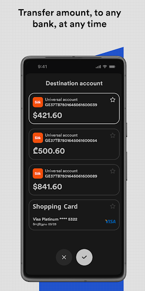Silk (GE) Screenshot 2