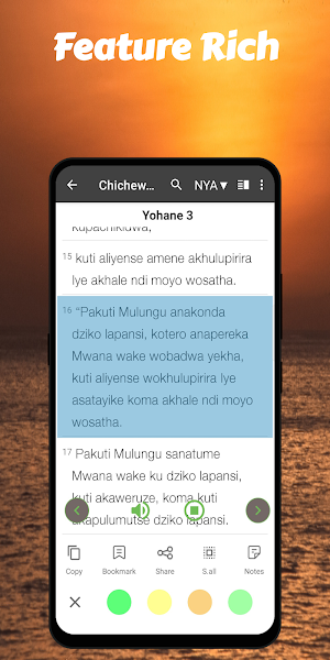 Chichewa Bible OFFLINE+KJV+NIV Screenshot 3