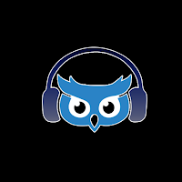 Companion For Spotify