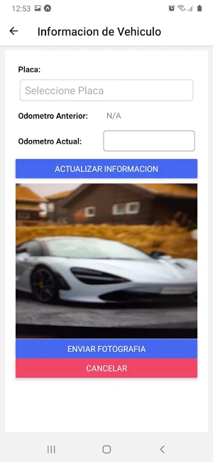 Gestion Captura de Datos Screenshot 3