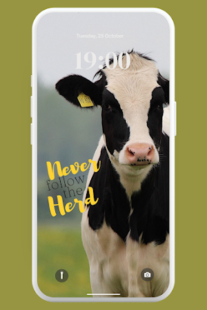Cute Cow Wallpaper 4K Screenshot 0