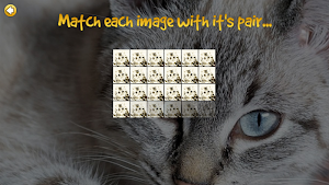 Pair All The Kittens Screenshot 2