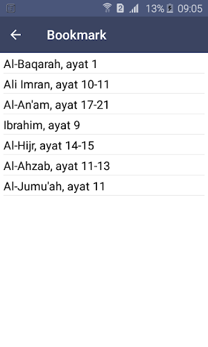 Tafsir Ibnu Katsir Pro Screenshot 2