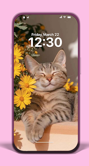 Cats Wallpapers & Backgrounds Screenshot 2