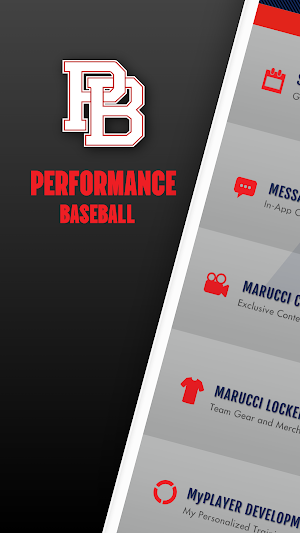 Performance Baseball Screenshot 0