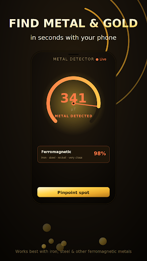 Metal Detector: Gold Finder Screenshot 1