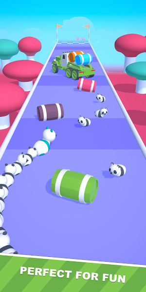 Pet Run 3D Screenshot 2