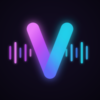 VYBE: Concerts & Festivals
