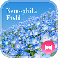 Beautiful Wallpaper Nemophila Field Theme