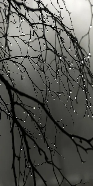 Rain Wallpapers Screenshot 0