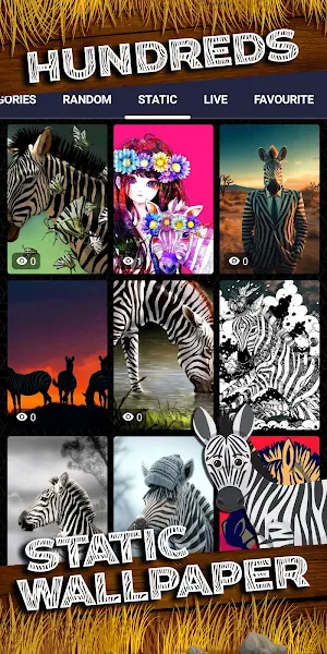 zebra wallpaper Screenshot 3