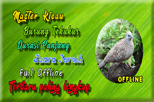 Suara Burung Tekukur MP3 Screenshot 1