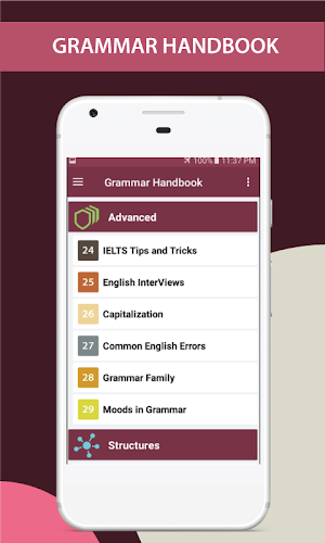 English Grammar Handbook Screenshot 2