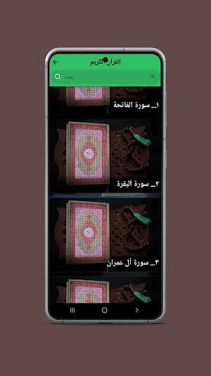 القرآن الكريم Screenshot 0