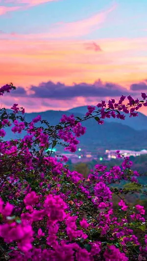 Flower Nature Wallpapar HD 4K Screenshot 1