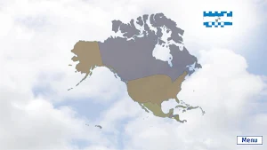 Flags of the World Extension Screenshot 3