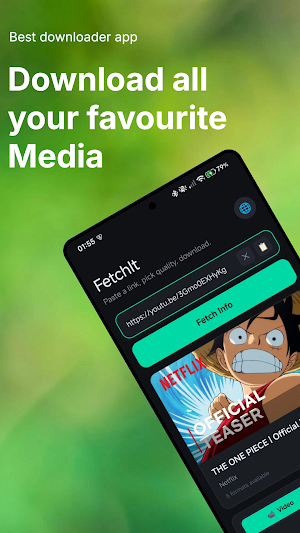 FetchIt: HD Video Downloader Screenshot 0