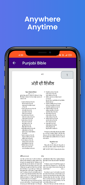 Punjabi Bible Offline Screenshot 3