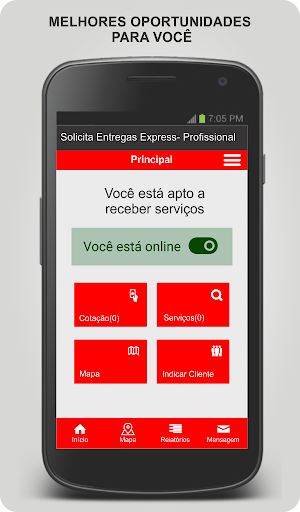 Solicita Entregas Express - Profissional Screenshot 3