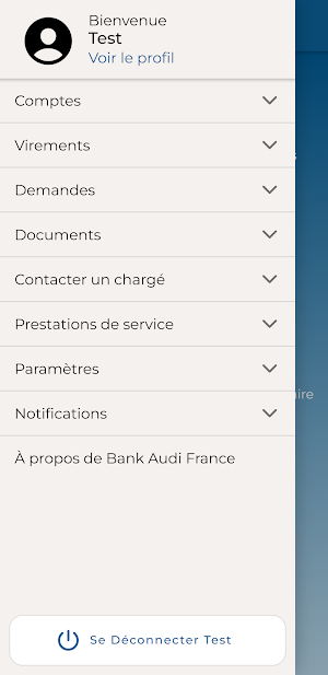 Bank Audi France Screenshot 3