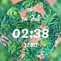 Tropical – Jungle Watch Face