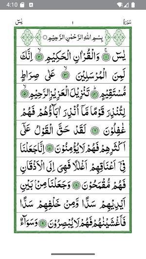 Surah Yaseen Audio offline MP3 Screenshot 1