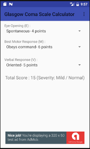 GCS Calculator Screenshot 1
