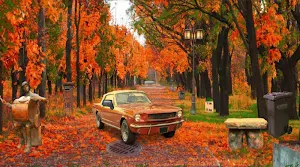 Autumn City Park Escape Screenshot 0
