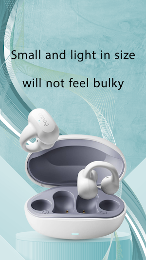 Sanag Open Ear Earbuds guide Screenshot 2