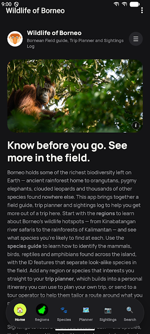 Wildlife of Borneo Screenshot 1