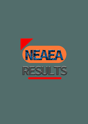 Neaea Grade 12 Result Screenshot 2