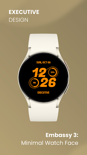 Embassy 3: Minimal Watch Face Screenshot 3