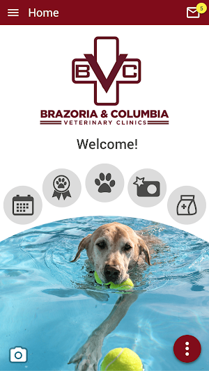 Brazoria Vet Screenshot 0
