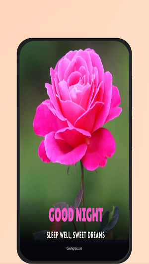 good night roses Screenshot 2