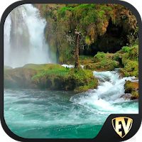 Forests & Waterfalls Travel &