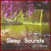 Relaxing Forest Nature Sounds