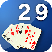 29 card game