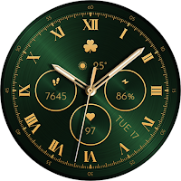 TVV Saint Patrick's Day 6