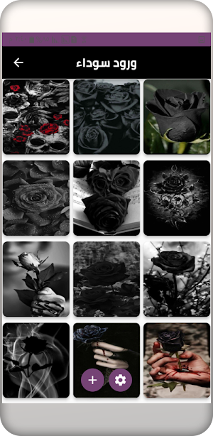 Black wallpaper Screenshot 2