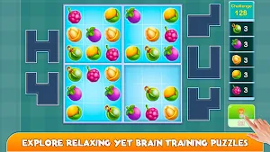 Logic Puzzles - Classic Game Screenshot 2