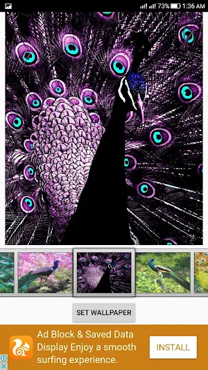 Peacock Live Wallpaper Screenshot 0