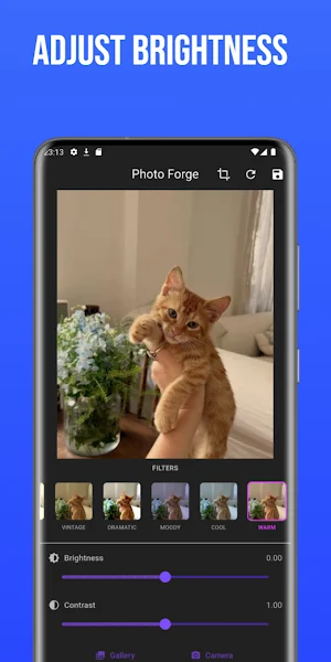 PhotoForge Screenshot 2