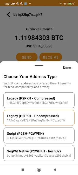 Satoshi Wallet Screenshot 3