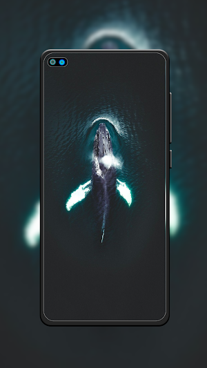 Whale Wallpaper HD Screenshot 2
