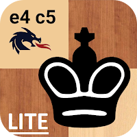 Chess - Dragon variation
