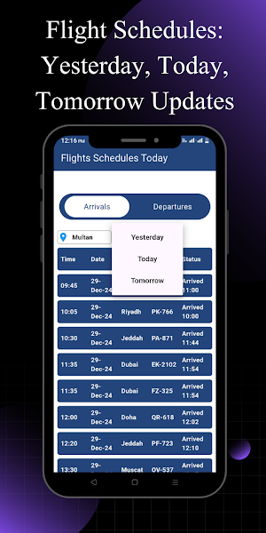 Flights Schedules Inquiry Screenshot 1