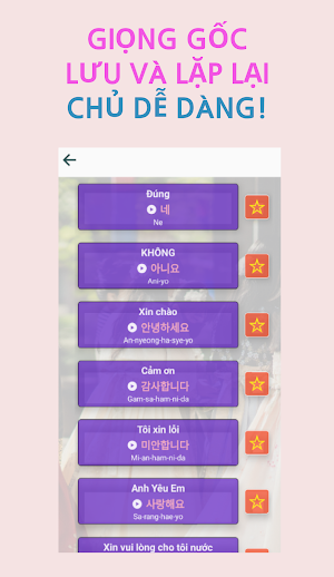 Túi Hàn Quốc Screenshot 1
