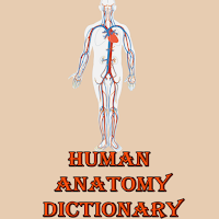 Human Anatomy Dictionary