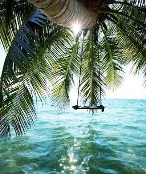 Bahamas Wallpaper HD Screenshot 1