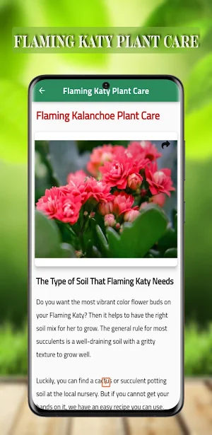 Green garden Screenshot 3